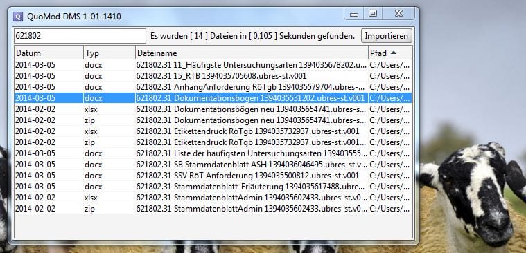 dms-1-01-1410-erste-suche