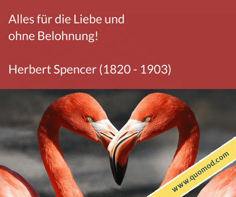 Zitat von Herbert Spencer: Alles für die Liebe und ohne Belohnung!