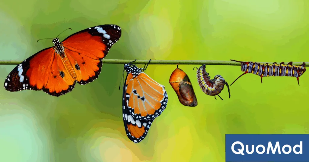 Paradigmenwechsel im QM – der Weg der Raupe zum Schmetterling