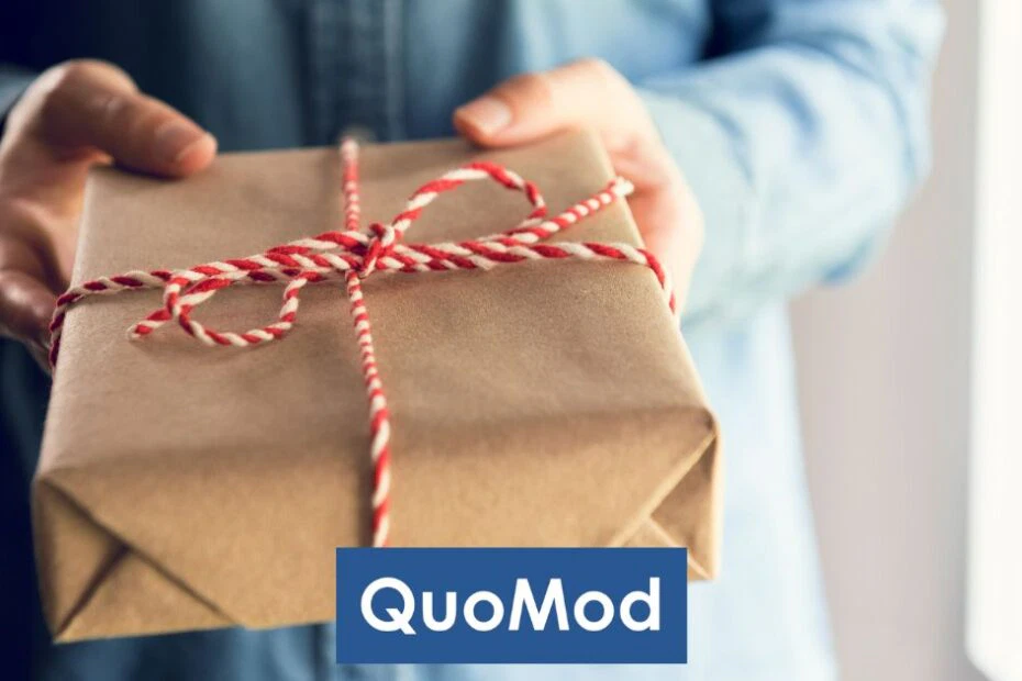 Softwareentwicklung Black Box - Person hält ein Geschenk in Händen.